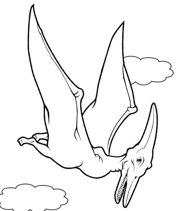 Dibujo para Colorear Dinosaurio Pterodáctilo