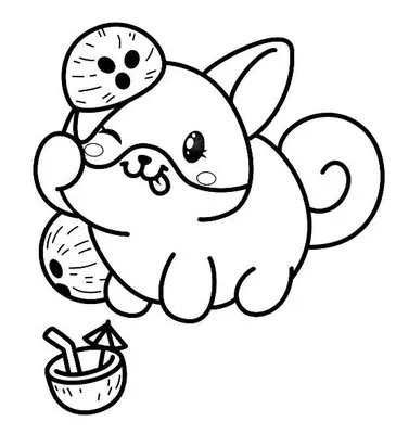 Kawaii Shiba