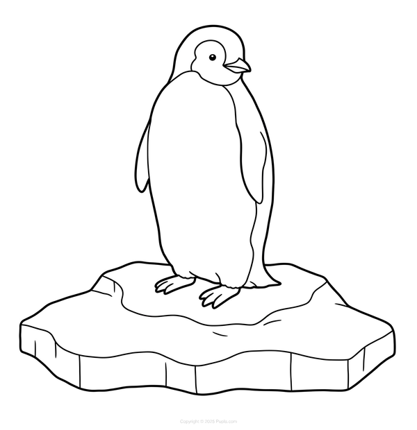 Pinguin stehend auf einer Eisscholle Ausmalbild