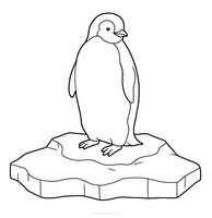 Pinguin stehend auf einer Eisscholle