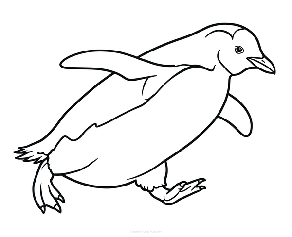 Coloriage La course des pingouins