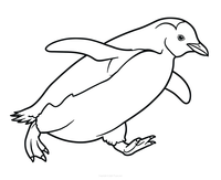 Carrera de pingüinos