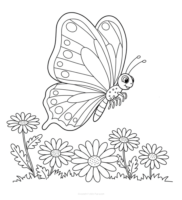 Dibujo para Colorear Mariposa sobre las margaritas