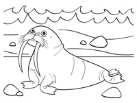 Walrus op Strand