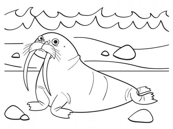 Walrus op Strand Kleurplaat