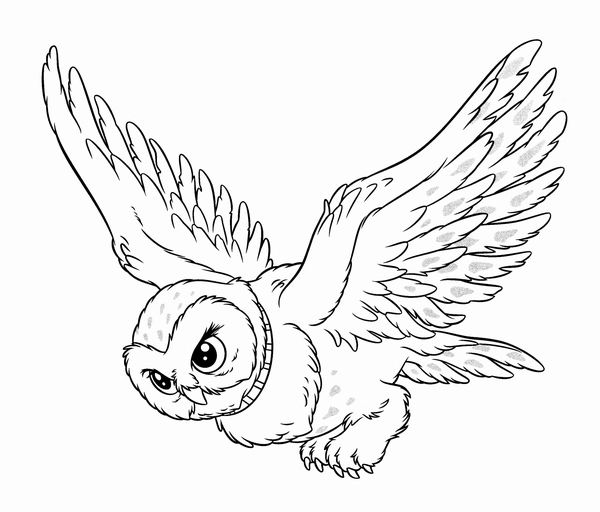 Dibujo para Colorear Harry Potter Búho Hedwig