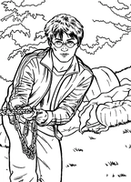 Harry Potter Pulling Chain