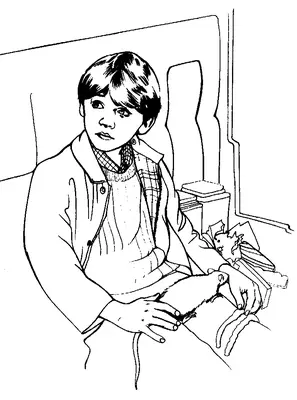 Harry Potter Ron Weasley dans le train