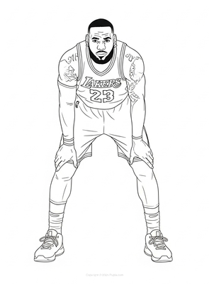 LeBron James in ready position