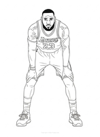 LeBron James in ready position