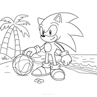 Sonic on the Beach