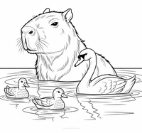Capybara dans l'eau