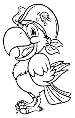 Oiseaux Capitaine Perroquet