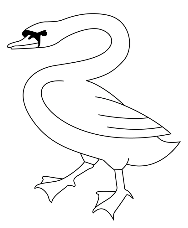 Birds Easy White Swan Coloring Page