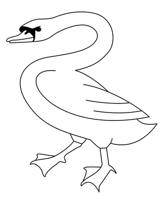 Vogels Makkelijke Witte Zwaan