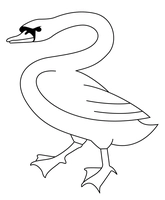 Birds Easy White Swan