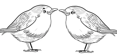 Vogels Roodborstjes Paar