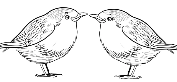Coloriage Oiseaux Couple de Robin