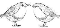 Oiseaux Couple de Robin
