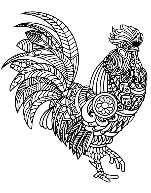 Birds Rooster Detailed Coloring Page
