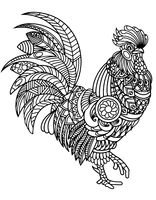 Birds Rooster Detailed