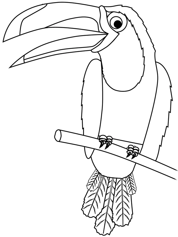 Dibujo para Colorear Aves Tucán