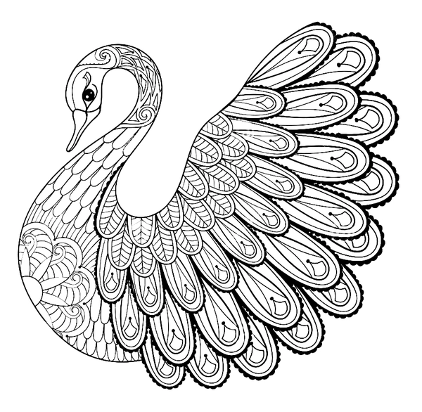 Dibujo para Colorear Pájaros Cisne blanco Detallado