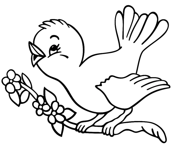 Dibujo para Colorear Lindo pájaro cantor