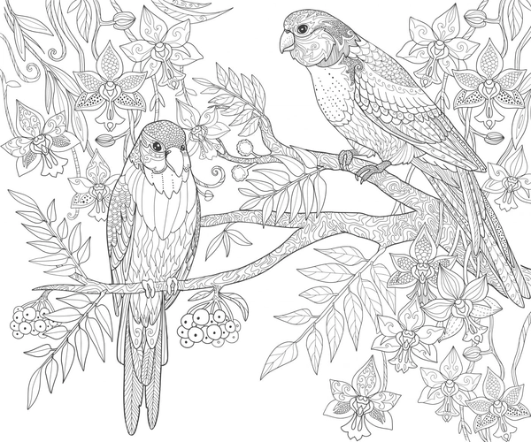 Coloriage Deux oiseaux dans un arbre Détaillé