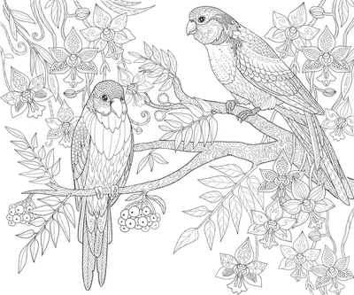 Twee Vogels in Boom Gedetailleerd