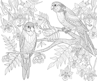 Zwei Vögel im Baum Detailliert