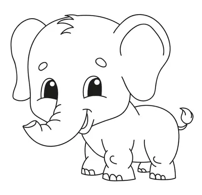 Baby Olifant