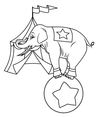 Elefante de circo