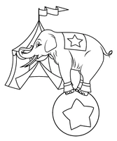 Zirkus Elefant