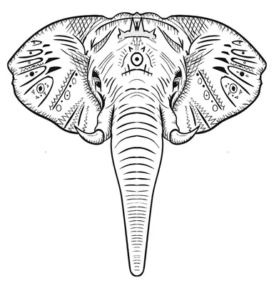 Elephant Head