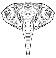 Tête d'éléphant