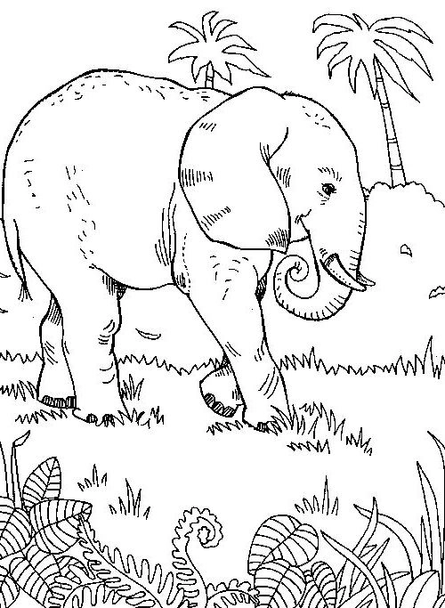 Coloriage Eléphant marchant dans la forêt