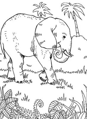 Elefante caminando por el bosque