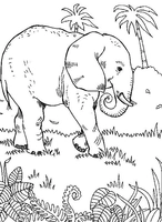 Elefant geht durch den Wald