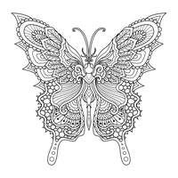 Papillon détaillé