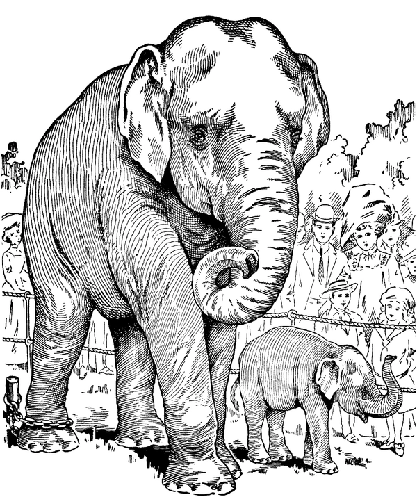 Coloriage Éléphant avec bébé détaillé