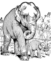 Éléphant avec bébé détaillé