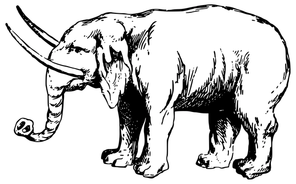 Elefant mit langen Stoßzähnen Ausmalbild