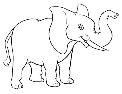 Elefante con la trompa hacia arriba