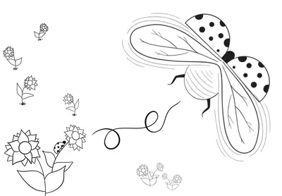 Coccinelle avec fleurs