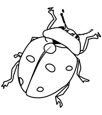 Realistischer Marienkäfer
