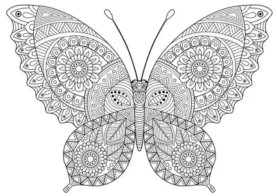 Beautiful Butterfly