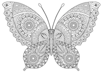 Hermosa mariposa