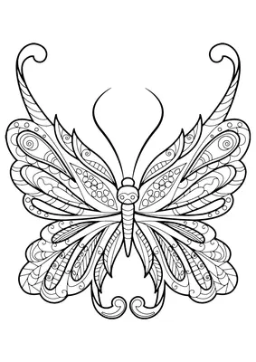 Vlinder met Ornamenten