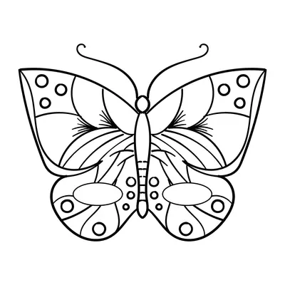 Butterfly with Circles